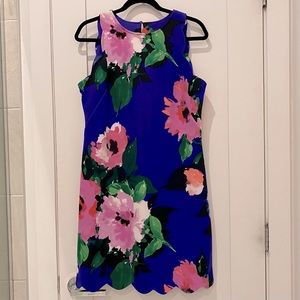 Vince Camuto royal blue floral dress size 10